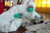 PDP meninggal di Kota Sorong hasil laboratorium positif COVID-19