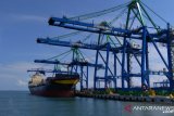 Pengerjaan tiga Proyek Strategis Nasional PT Pelindo IV berjalan normal