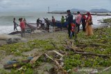 Nelayan tradisional memisahkan sampah kayu dan botol bekas yang terjaring pukat darat di perairan Kampung Jawa, Banda Aceh, Aceh, Selasa (26/5/2020). Hasil tangkapan ikan pada hari pertama melaut pascaliburan Idul Fitri menurun, karena perairan tercemar sampah kayu dan botol plastik bekas yang hanyut terbawa luapan arus sungai. Antara Aceh/Ampelsa.