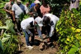 Bupati Jayapura: Berkebun hendaknya menjadi kebutuhan dasar warga kampung