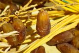 Puasa syawal bagus untuk sistem cerna adaptasi selepas Ramadhan