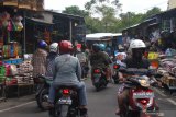 Warga beraktivitas di pasar burung Splendid yang masih dibuka saat pemberlakuan Pembatasan Sosial Berskala Besar (PSBB) di Malang, Jawa Timur, Rabu (27/5/2020). Pasar yang juga menjual aneka hewan peliharaan tersebut ramai dikunjungi dan menjadi tujuan wisata alternatif pasca ditutupnya sejumlah tempat wisata sebagai upaya pencegahan penyebaran COVID-19. Antara Jatim/Ari Bowo Sucipto/zk