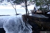 Warga melihat kondisi pohon cemara yang diterjang ombak tinggi di Pantai Cemara, Banyuwangi, Jawa Timur, Kamis (28/5/2020). Ombak tinggi yang terjadi akibat musim angin timuran itu, mengakibatkan sejumlah perahu nelayan rusak, terjadi banjir rob dan sekitar 700 pohon cemara di pesisir tumbang karena abrasi. Antara Jatim/Budi Candra Setya/zk.