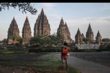 Suasana pagi di kawasan Taman Wisata Candi Prambanan, Sleman, DI Yogyakarta, Selasa (2/6/2020). Pihak Taman Wisata Candi Prambanan berencana melakukan percobaan pembukaan tempat wisata Candi Prambanan dengan standar protokol kesehatan yang ketat selama pandemi COVID-19. ANTARA FOTO/Hendra Nurdiyansyah/nym.