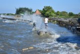 Warga berjalan di atas tangkis laut saat gelombang tinggi di Pantai Wisata Jumiang, Pamekasan, Jawa Timur, Kamis (4/6/2020). Dalam dua hari terakhir, gelombang tinggi dan angin kencang di daerah itu, menyebabkan sebuah rumah rusak dan sejumlah pemukiman tergenang banjir rob. Antara Jatim/Saiful Bahri/zk