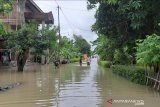 Air laut pasang di Tegal rendam 187 rumah warga