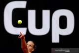 Juara bertahan Pliskova tantang Halep di partai final Italian Open