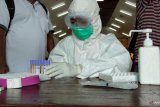 Gugus Tugas Kota Sorong kirim 182 sampel tes COVID-19 ke Laboratorium Makassar