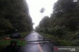 PLN Suluttenggo Amankan Listrik Cuaca Buruk Wilayah Kepulauan