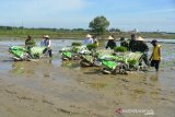 Panglima Kodam Iskandar Muda, Mayjen TNI Hassanudin (kedua kanan) bersama prajurit TNI AU, Polri dan petani menggunakan alat rice transplanter menanam padi ada musim tanam gadu di area persawahan desa Blang Bintang, Kabupaten Aceh Besar, Aceh, Rabu (10/6/2020). Sinergitas TNI membantu petani mempercepat musim tanam sebelum musim kemarau itu untuk meningkatkan ketahanan pangan dan menghindari ancaman krisis pangan dampak dari pandemi COVID-19. Antara Aceh/Ampelsa.
