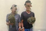 Polres Nagan Raya Aceh tangkap pengedar 6 kilogram ganja