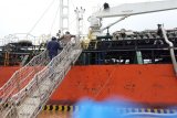 Karantina Pertanian Merauke awasi lalu lintas produk pertanian