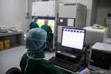 Dokter patologi klinik menunjukkan cara kerja mengoperasikan alat Polymerase Chain Reaction (PCR) di Ruang Ektraksi DNA dan RNA Laboratorium Mikrobiologi RSUD Sidoarjo, Jawa Timur, Sabtu (20/6/2020). Pengoperasian alat PCR yang dapat memeriksa 1.000 sampel tersebut, diharapkan dapat lebih cepat mengetahui hasil pemeriksaan pasien yang diduga terinfeksi virus corona atau COVID-19 di Sidoarjo. Antara Jatim/Umarul Faruq/zk