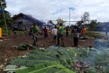 Warga Kiliarma Mimika bersama personel TNI AD gelar tradisi bakar batu
