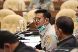 Mentan: Masih ada stok beras 6,1 juta ton hingga Desember 2020