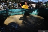 Agam bantu 13 kelompok pembudidaya ikan tingkatkan produksi