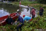 Pemkab Minahasa berupaya memberantas enceng gondok di Danau Tondano