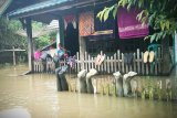 Belantikan Raya terparah terdampak banjir