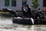 Prajurit Marinir latihan renang rintangan (obstacle swiming) dengan jarak 150 m di kolam Bhumi Marinir Gedangan, Sidoarjo, Jawa Timur. Jumat (26/6/2020). Latihan tersebut bertujuan untuk meningkatkan ketangkasan prajurit Brigade Infanteri 2 Marinir dalam berenang melewati rintangan, sehingga mental dan fisik prajurit tetap terjaga meskipun dalam masa pandemi Covid-19. Antara Jatim/Umarul Faruq/zk