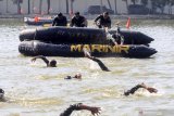 Prajurit Marinir latihan renang rintangan (obstacle swiming) dengan jarak 150 m di kolam Bhumi Marinir Gedangan, Sidoarjo, Jawa Timur. Jumat (26/6/2020). Latihan tersebut bertujuan untuk meningkatkan ketangkasan prajurit Brigade Infanteri 2 Marinir dalam berenang melewati rintangan, sehingga mental dan fisik prajurit tetap terjaga meskipun dalam masa pandemi Covid-19. Antara Jatim/Umarul Faruq/zk