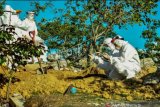 Gugus Tugas COVID-19 Sulteng : Waspada OTG ada dimana-mana