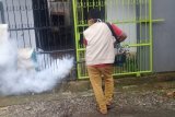 Kasus DBD di Kabupaten Gowa turun signifikan