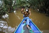 Wisatawan berselfie saat wisata susur sungai di Hutan Mangrove Alami Kuin Kecil Banjarmasin, Kalimantan Selatan, Sabtu (27/6/2020). Pemprov Kalimantan Selatan terus berupaya meningkatkan kunjungan pariwisata, salah satunya wisata susur sungai di Banjarmasin yang menawarkan suasana alam serta aktivitas warga di bantaran sungai untuk menggaet para wisatawan baik dari dalam negeri maupun luar negeri. Foto Antaranews Kalsel/Bayu Pratama S.