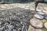 Pekerja menjemur kerupuk kulit ikan patin di Indramayu, Jawa Barat, Minggu (28/6/2020). Menurut pengusaha, permintaan kerupuk kulit ikan dari berbagai daerah mulai meningkat seiring pemberlakuan era normal baru. ANTARA JABAR/Dedhez Anggara/agr