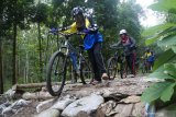 Pesepeda melintasi jembatan kayu di hutan jati di Kecamatan Ambulu, Jember, Jawa Timur, Minggu (28/6/2020). Sebagian orang memilih bersepeda sebagai aktivitas olahraga luar ruang saat pandemi COVID-19. Antara Jatim/Seno/zk