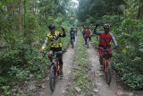 Pesepeda melintasi hutan jati di Kecamatan Ambulu, Jember, Jawa Timur, Minggu (28/6/2020). Sebagian orang memilih bersepeda sebagai aktivitas olahraga luar ruang saat pandemi COVID-19. Antara Jatim/Seno/zk