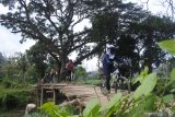 Pesepeda melintasi jembatan kayu di Kecamatan Ambulu, Jember, Jawa Timur, Minggu (28/6/2020). Sebagian orang memilih bersepeda sebagai aktivitas olahraga luar ruang saat pandemi COVID-19. Antara Jatim/Seno/zk