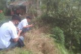 Pangkep buka pendaftaran PPDB secara langsung pada wilayah terpencil