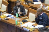 Inalum minta penundaan proyek smelter PT Freeport di Gresik
