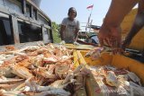 Pekerja mengangkut rajungan hasil tangkapan nelayan di Karangsong, Indramayu, Jawa Barat, Rabu (1/7/2020). Badan Pusat Statistik (BPS) mencatat ekspor rajungan saat pandemi COVID-19 pada triwulan pertama 2020 mencapai 105,32 juta dolar AS. ANTARA JABAR/Dedhez Anggara/agr