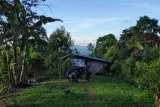 COVID Minahasa ketambahan tujuh positif dimana satu meninggal