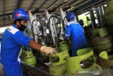 Sejumlah pekerja melakukan pengisian ulang tabung gas Elpiji 3 kilogram di Stasiun Pengisian dan Pengangkutan Bulk Elpiji (SPPBE) Desa Peunaga Rayeuk, Meureubo, Aceh Barat, Rabu (1/7/2020). Data SPPBE Aceh Barat menyebutkan, sejak dua bulan terakhir konsumsi gas Elpiji 3 kilogram mencapai 652.960 tabung yang didistribusikan ke kawasan pantai barat selatan Aceh yang meliputi Kabupaten Aceh Selatan, Aceh Barat Daya, Aceh Barat, Aceh Jaya dan Kabupaten Nagan Raya. Antara Aceh/Syifa Yulinnas.