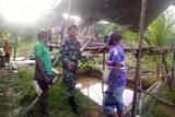 Satgas Pamtas Yonif 509/Kostrad ajarkan warga kampung Umuaf budidaya ikan lele