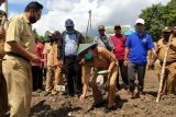 Kegiatan berkebun warga kampung Jayapura meningkat selama pandemi COVID-19