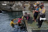 Anggota Pecalang dan Polisi mengawasi Umat Hindu yang melakukan upacara Melukat atau ritual pembersihan diri pada Hari Banyupinaruh di Pura Tirta Empul, Tampaksiring, Gianyar, Bali, Minggu (5/7/2020). Menjelang penerapan tahapan normal baru di Bali kegiatan tradisi tersebut mulai dibuka dengan pengawasan protokol kesehatan COVID-19 yang ketat termasuk pembatasan sebanyak 25 orang setiap prosesi serta hanya diperbolehkan selama 10 menit. ANTARA FOTO/Nyoman Hendra Wibowo/nym.