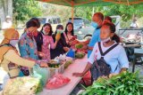 DPTH Jayapura membantu pasarkan hasil kebun petani lokal
