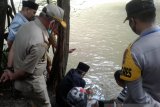 Di Baubau, ribuan bibit ikan dilepas awali gerakan cinta lingkungan