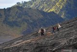 Warga membawa kambing yang merupakan persembahan masyarakat Suku Tengger di kawah Gunung Bromo saat perayaan Yadnya Kasada, Probolinggo, Jawa Timur, Selasa (7/7/2020). Perayaan Yadnya Kasada merupakan bentuk ungkapan syukur dan penghormatan kepada leluhur masyarakat Suku Tengger dengan cara melarung sesaji berupa hasil bumi dan ternak ke kawah Gunung Bromo. Antara Jatim/Zabur Karuru