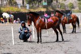Warga menunggu pengunjung yang menyewa kudanya di Tengger, Gunung Bromo, Probolinggo, Jawa Timur, Selasa (7/7/2020). Pemilik kuda mengaku, pada ritual Yadnya Kasada tahun ini omsetnya menurun karena perayaannya hanya diikuti warga Tengger saja. Antara Jatim/Budi Candra Setya/zk