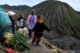 Masyarakat Suku Tengger  menarik kambing yang akan dilarung ke kawah Gunung Bromo dalam rangka perayaan Yadnya Kasada, Probolinggo, Jawa Timur, Selasa (7/7/2020). Perayaan Yadnya Kasada merupakan bentuk ungkapan syukur dan penghormatan kepada leluhur masyarakat Suku Tengger dengan cara melarung sesaji berupa hasil bumi dan ternak ke kawah Gunung Bromo. Antara Jatim/Zabur Karuru