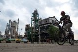 Delapan orang  karyawan PT Pusri Palembang positif COVID-19