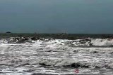 BMKG: Waspadai gelombang tinggi di laut selatan Jabar-DIY