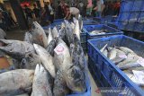 Nelayan menyiapkan ikan untuk dilelang di tempat pelelangan ikan Karangsong, Indramayu, Jawa Barat, Sabtu (11/7/2020). Badan Pusat Statistik (BPS) mencatat volume ekspor perikanan periode Januari-Maret 2020 mencapai 295,13 ribu ton atau meningkat 10,96 persen dibanding periode yang sama tahun 2019. ANTARA JABAR/Dedhez Anggara/agr