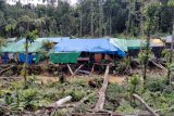 Meraup rejeki butiran emas di tambang Korowai