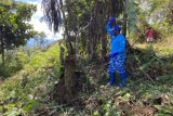Partai Demokrat Papua buka lahan 10 hektare ajak warga berkebun