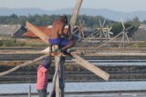 Petani memperbaiki baling-baling di lahan garam Desa Bunder, Pamekasan, Jawa Timur, Sabtu (11/7/2020). Asosiasi Petani Garam Rakyat Indonesia (APGRI) memperkirakan produksi garam nasional pada tahun ini, turun sebesar 30 persen, atau menjadi sekitar dua juta ton. Sedangkan produksi tahun 2019 mencapai 2,7 juta ton, karena musim hujan yang lebih lama dari musim kemarau. Antara Jatim/Saiful Bahri/zk